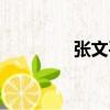 張文平（關(guān)于張文平介紹）