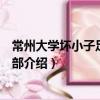 常州大學(xué)壞小子足球俱樂部（關(guān)于常州大學(xué)壞小子足球俱樂部介紹）