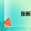 張新功（關于張新功介紹）