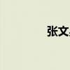 張文星（關(guān)于張文星介紹）