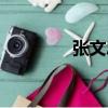 張文忠（關(guān)于張文忠介紹）