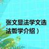 張文顯法學(xué)文選：部門(mén)法哲學(xué)（關(guān)于張文顯法學(xué)文選：部門(mén)法哲學(xué)介紹）