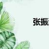 張振洲（關(guān)于張振洲介紹）