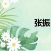 張振良（關(guān)于張振良介紹）