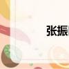 張振臣（關(guān)于張振臣介紹）