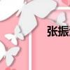 張振波（關(guān)于張振波介紹）