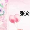 張文敏（關(guān)于張文敏介紹）