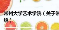 常州大學(xué)藝術(shù)學(xué)院(關(guān)于常州大學(xué)藝術(shù)學(xué)院介紹)
