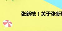 張新枝(關(guān)于張新枝介紹)