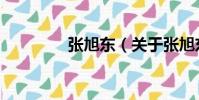 張旭東(關(guān)于張旭東介紹)