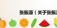 張振源(關于張振源介紹)