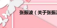 張振波(關(guān)于張振波介紹)