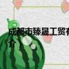 成都市臻晟工貿(mào)有限公司（關于成都市臻晟工貿(mào)有限公司簡介）
