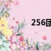 256團(tuán)團(tuán)歌歌詞（團(tuán)歌歌詞）