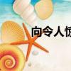 向令人驚嘆的謳歌類型S概念問好