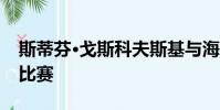 斯蒂芬·戈斯科夫斯基與海豚隊進行了艱難的比賽