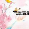 氣壓表型號(hào)（壓力表的規(guī)格型號(hào)）