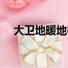 大衛(wèi)地暖地板怎么樣（大衛(wèi)地板怎么樣）