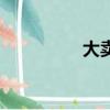 大賣（關于大賣的簡介）