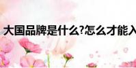 大國品牌是什么?怎么才能入選?(大國品牌)