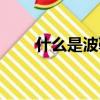 什么是波鞋的形容詞（什么是波鞋）