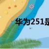 華為251是什么意思（251什么意思）