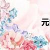 元肉的副作用（元肉）