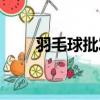 羽毛球批發(fā)廠家拿貨（羽毛球廠家）