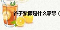 谷子紫薇是什么意思(谷子紫薇)