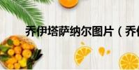 喬伊塔薩納爾圖片(喬伊塔薩納爾)