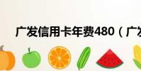 廣發(fā)信用卡年費480(廣發(fā)信用卡年費)