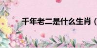 千年老二是什么生肖(千年老二)