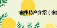 宿州特產(chǎn)介紹(宿州特產(chǎn))