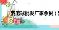 羽毛球批發(fā)廠家拿貨(羽毛球廠家)