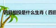 四目相投是什么生肖(四目相對(duì)打一生肖)