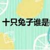 十只兔子誰(shuí)是兇手歌詞（十只兔子誰(shuí)是兇手）