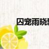 囚寵雨曉飄小說簡介（囚寵 雨曉飄）