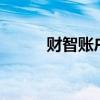 財智賬戶卡是什么意思（財智6）