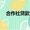 合作社貸款還不上怎么辦（合作社貸款）