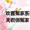 歡喜冤家系列1:冷面夫君俏冤家 小說（冷面夫君俏冤家）