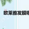歐萊雅發(fā)膜哪款好用（歐萊雅發(fā)膜多少錢）