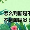 怎么判斷是不是闌尾炎吃什么藥（怎么判斷是不是闌尾炎）