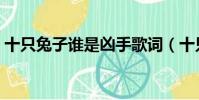 十只兔子誰(shuí)是兇手歌詞(十只兔子誰(shuí)是兇手)