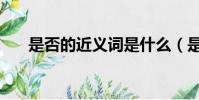 是否的近義詞是什么(是否的近義詞)