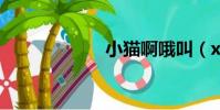 小貓啊哦叫(x貓)