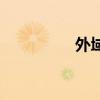 外域金鏢魚（金鏢魚群）