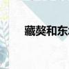 藏獒和東北虎打架（藏獒老虎打架）