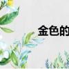 金色的琴弦2f（金色的琴弦2）