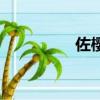 佐櫻吧里搜索（佐櫻吧）