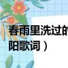 春雨里洗過(guò)的太陽(yáng)歌詞簡(jiǎn)譜（春雨里洗過(guò)的太陽(yáng)歌詞）